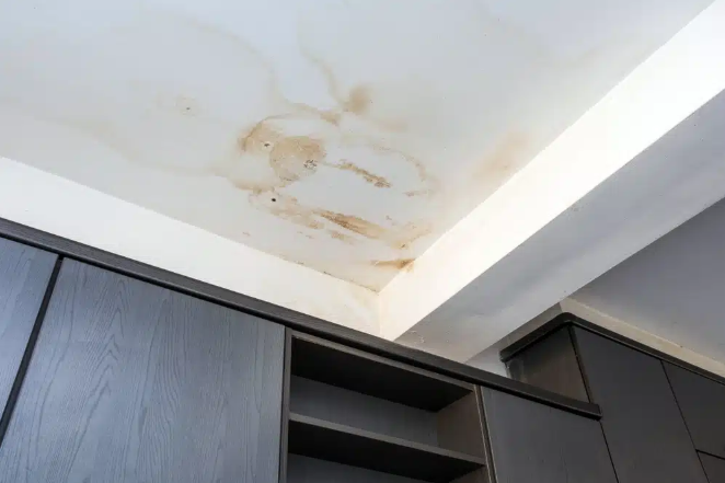 Rotten Wood Roof Paneling with Black Mold