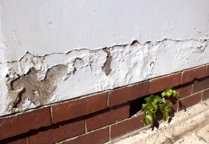 Westox Rising Damp Systems