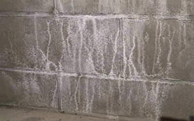 efflorescence in walls