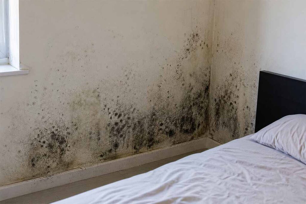 Mould on Bedroom Walls