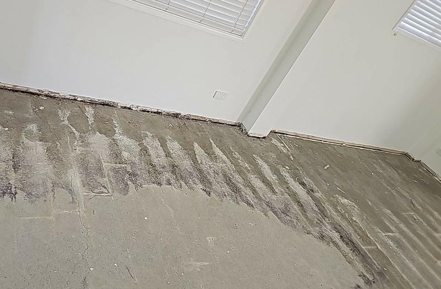 Rising Damp Treatment Brisbane