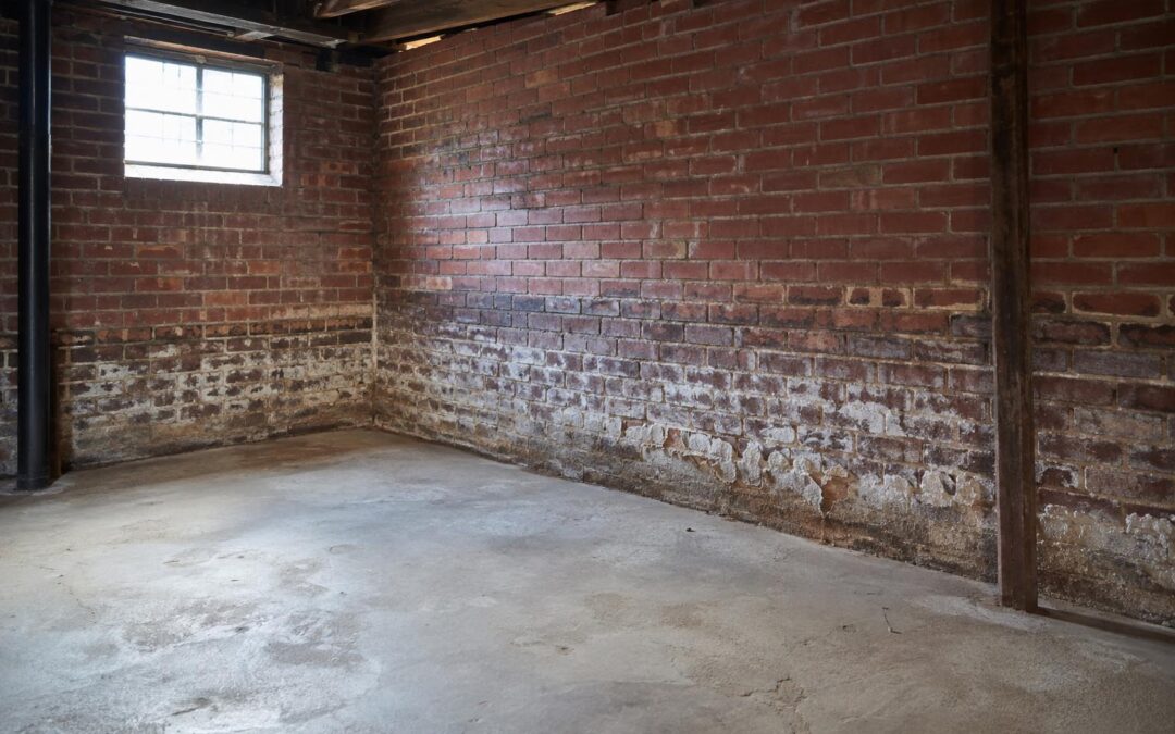 Treatment of Efflorescence in Brickwork: Causes, Cleaning Methods & Prevention