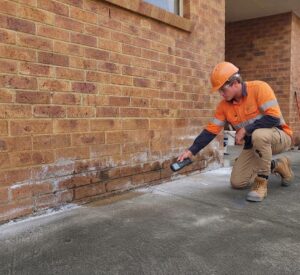 Rising Damp Inspections